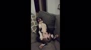 temp