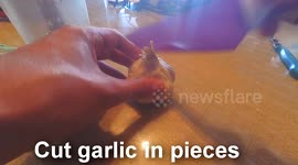 How to peel a Garlic fast