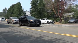 Raw Bear in Lynnwood