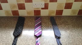 How to Tie a Bow Tie with a Regular Tie