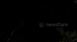 Night Sky Bass Lake, CA