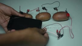 How to charge your smartphone with a potato