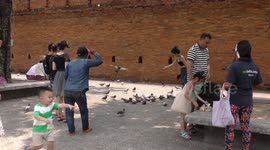 Chinese tourists abusing pigeons