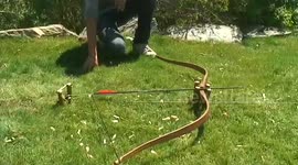 SurvivorDude: How To Make A Bow Trap