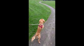 I can see something interesting, it's over there! Look, look , look!!!!!