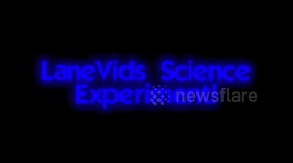 HOW TO MAKE A HOMEMADE MOSQUITO TRAP | 2 Liter Bottle Mosquito Trap