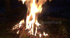 Sounds of a Wilderness Survival Fire