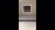temp