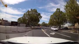 Chicken Causes Car Accident