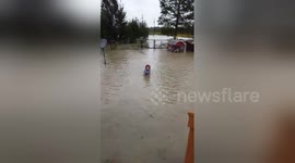 Newsflare Edit - Swimming in the hurricane