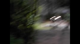 Botswana. Kasane. Chobe NP. Boat Cruise (10) Baboons inside of the hotel. 2016