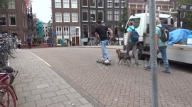 Dog takes skateboarding man for a walk in Amsterdam