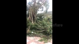 Typhoon Hato batters Macau, China