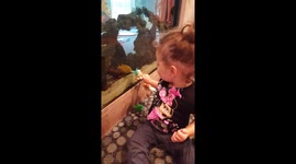 Fish tries to get binky