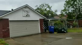 Hurricane Harvey Corpus Christi tropical storm tree on house