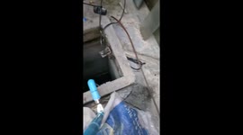 Stranded Cat Rescued From Sewer