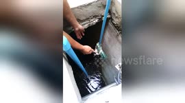 Good Samaritans rescue cat fallen into sewer