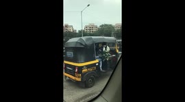 Goats riding in style