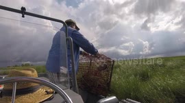 Fisherman rescues turtle from abandoned crab trap