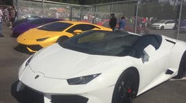 Lamborghini Montreal Quebec Sunday Meet