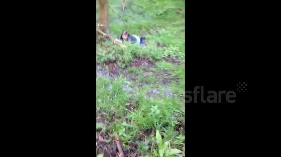 Heroic rope swing fail in the heart of Derbyshire