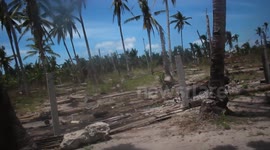 Bantayan Island Destruction Haiyan 2 