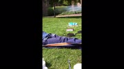 temp