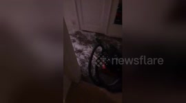 Newsflare Edit - Students destroy their house and create indoor snow