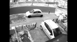 Cat killed by van caught on cctv