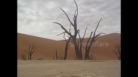 Namibia. Sossusvlei (8) Air guitar and headbanging on Dead Vlei. 2016