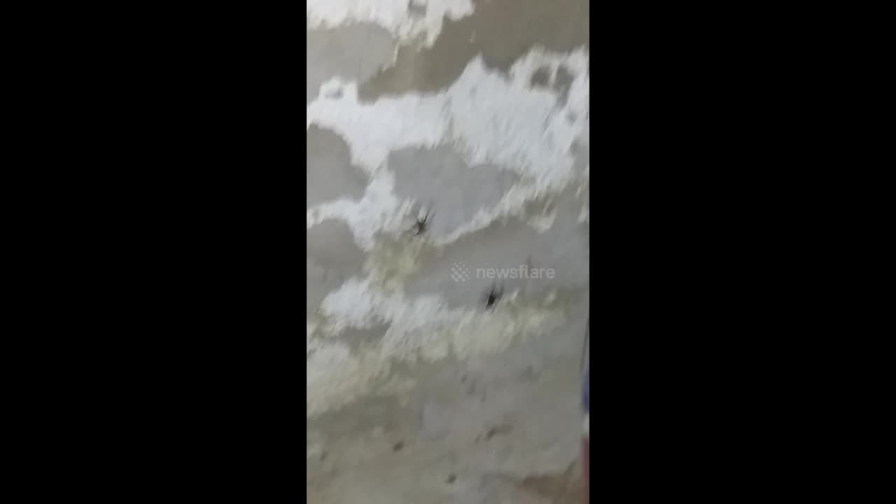 text