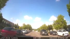 Nearly ran this guy over he landed face down in the road