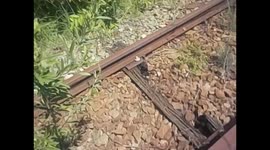 Swaziland. Mlilwane Wildlife Sanctuary (11) Old railway. 2016