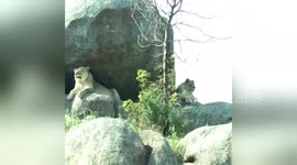 Newsflare Edit - The zoo is a great place!