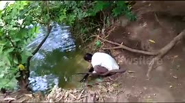 Wild fish comes everyday to greet farmer who saved its life