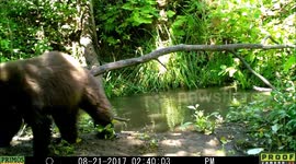 pond during eclipse 21Aug2017