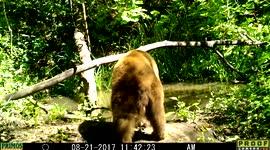 eclipse pond 21Aug2017d