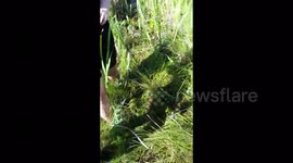 Students jump on ground saturated with water like on a trampoline