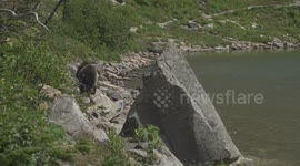 Two grizzly bears fight on the edge of iceberg lake