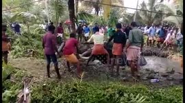 Over 200 villagers help rescue chained elephant stuck in swamp