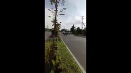 buffalo blocking the road