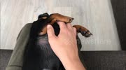 temp
