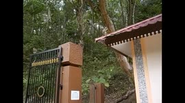 Brunei. Bandar Seri Begawan. Monkeys at the entrance of Taman Peranginan Tasek. 2015