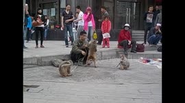 China. Lanzhou. Street artist actor, monkeys hitting him. 2015