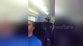 Newsflare Edit - Fight on a train UK