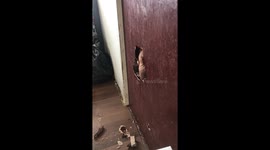 I cant see the telly