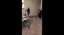 Crazy kid and kitten!