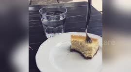 Newsflare Edit - Berlin bird eats cake