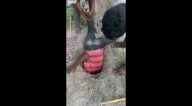 Man risks own life to rescue lamb from abandoned borewell