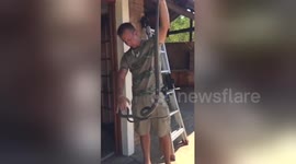 Snake catcher removes deadly black mamba from a bar